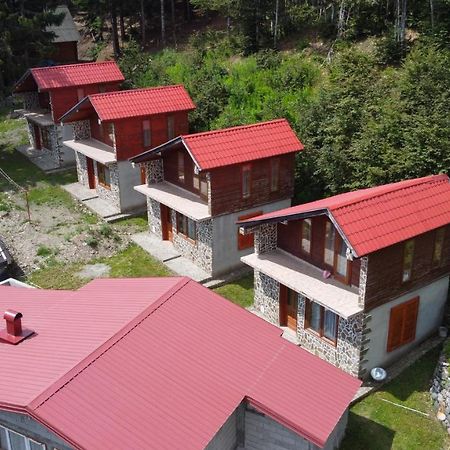Komovi Eko Katun Villa แอนดริเจวิกา ภายนอก รูปภาพ